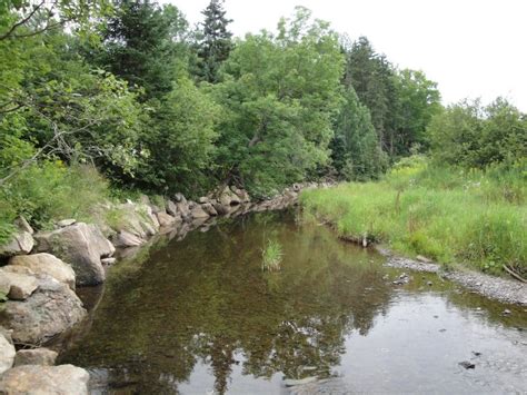 Importance of Protecting Riparian Areas - Tinkers Creek Watershed Partners