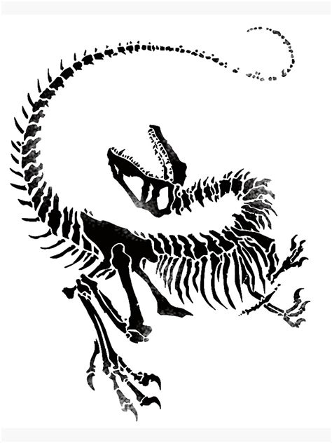 "Velociraptor Skeleton Print" Poster for Sale by JJJericho | Redbubble