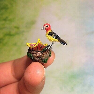 Dollhouse Miniature Realistic Western Tanager and nest with babies OOAK ...