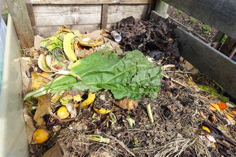 Making your own compost