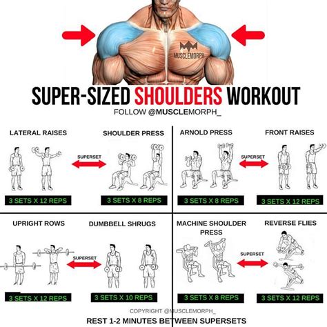 Want BIGGER Shoulders? Try this workout LIKE/SAVE IT if you found this ...