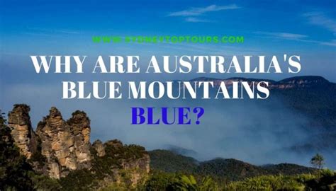 Why Are The Blue Mountains is Blue | Sydney Private Tours