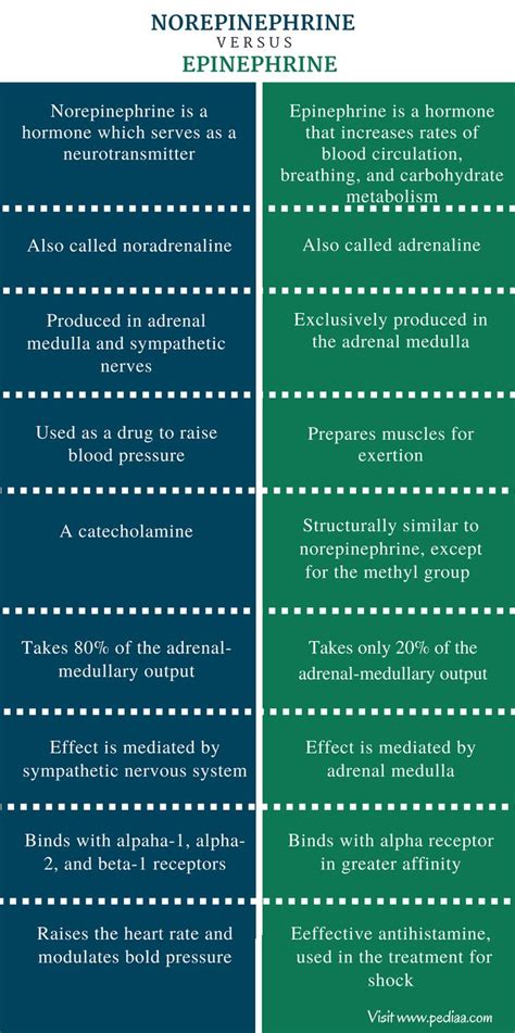 Difference Between Norepinephrine and Epinephrine | Definition, Characteristics, Function ...