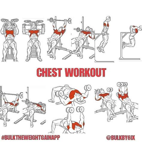 32+ Chest exercises for beginners men | absworkoutroutine