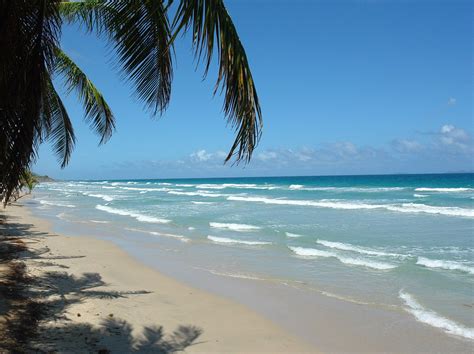 PLAYA GUACUCO EDO NUEVA ESPARTA ISLA DE MARGARITA VENEZUELA | Playas del caribe, Playas de ...