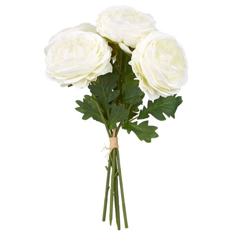 Long-Stemmed Rose Bouquet | Bouclair.com