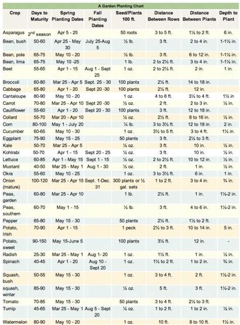 Printable Zone 6 Planting Schedule