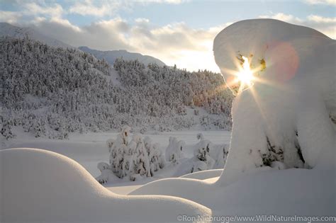 Winter Landscape | Chugach National Forest, Alaska | Ron Niebrugge Photography