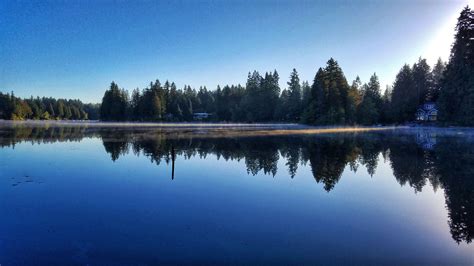 Beaver Lake Park & Lodge | Off-Leash Dog Park | City of Sammamish