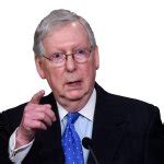 Mitch McConnell Turtle pointing finger Meme Generator - Imgflip