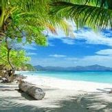 Free download Free Tropical Desktop Wallpaper Royalty Free Pictures for Websites [950x750] for ...