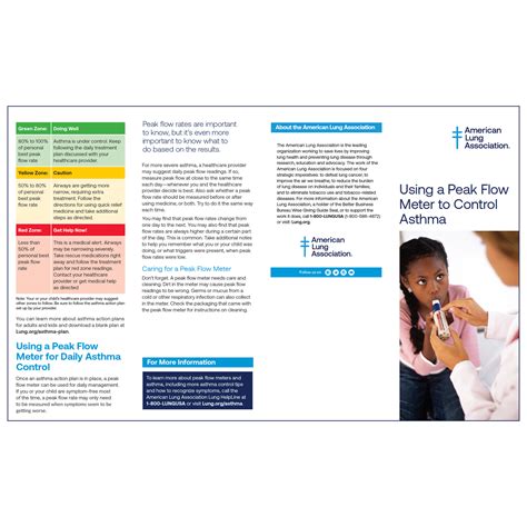 Using a Peak Flow Meter to Control Asthma – American Lung Association ...