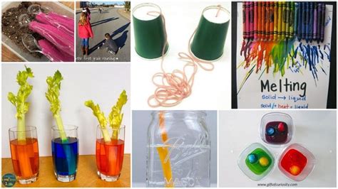 30 Fabulous First Grade Science Experiments and Projects To Try