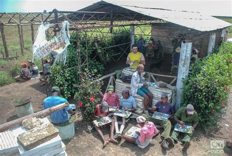 La escuela al campo - OnCubaNews