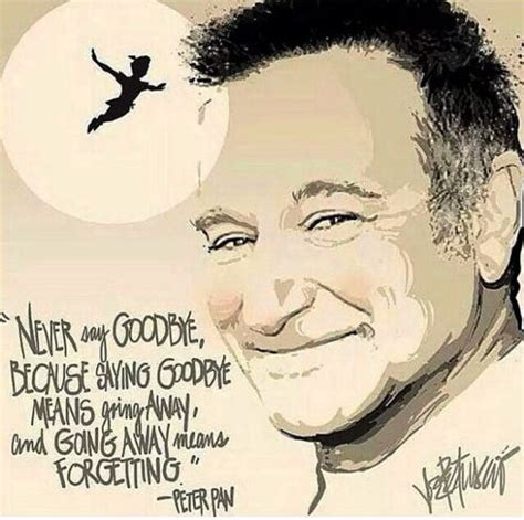 Robin Williams Hook Quotes. QuotesGram