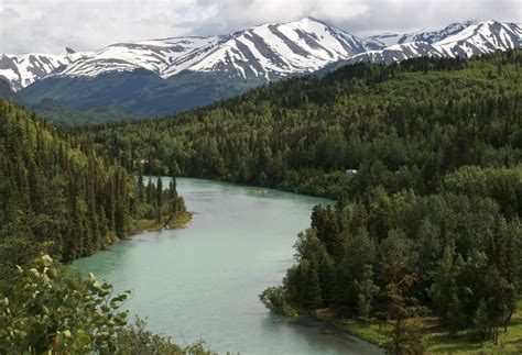 Kenai Peninsula - Things to Do| Switchback Travel