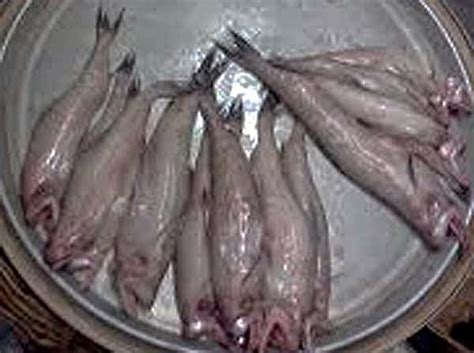 Bombil Fry Recipe (Bombay duck Fry), Crispy And Easy Method