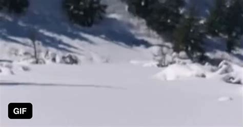 Snowball rolling downhill - 9GAG