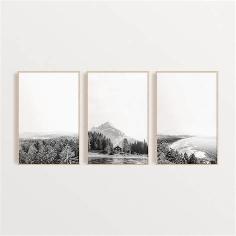 Set of 3 Nature Prints Black and White Nature Wall Art Set - Etsy