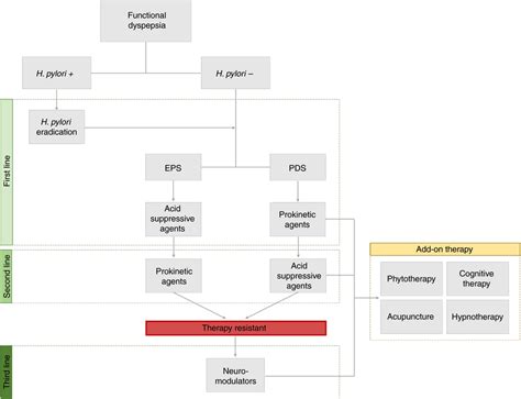 Treatment algorithm for epigastric pain syndrome 3 (EPS) and... | Download Scientific Diagram