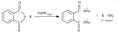 Gabriel Phthalimide Synthesis Mechanism - Explanation and Examples