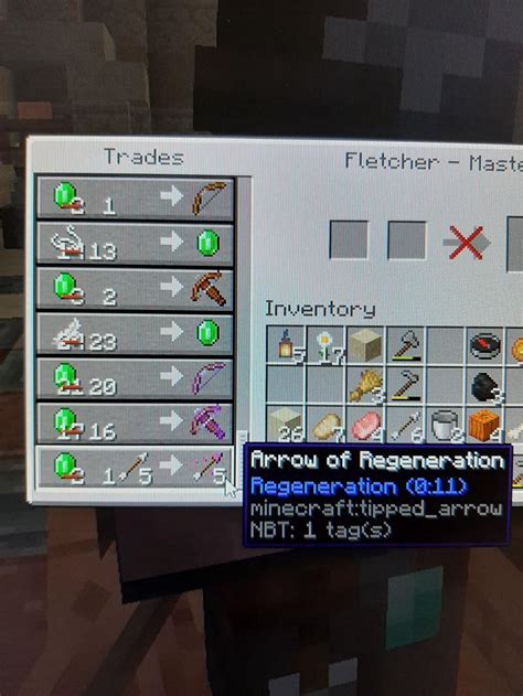 Top 5 uses of a fletcher in Minecraft