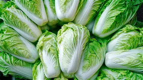 Bok Choy Vs. Napa Cabbage: Is There A Nutritional Difference?