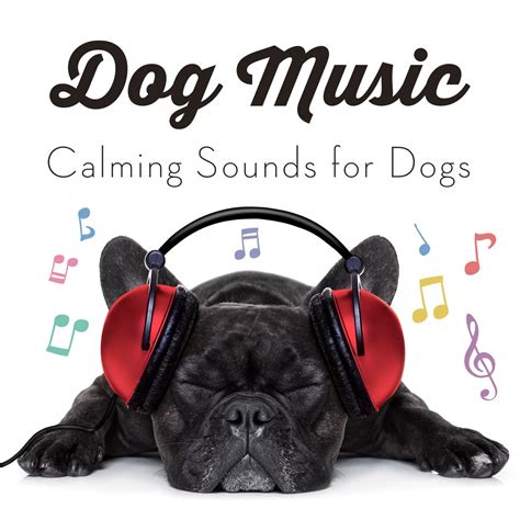 ‎Dog Music: Calming Songs for Dogs (feat. Music for Dog's Ears) by Dog ...