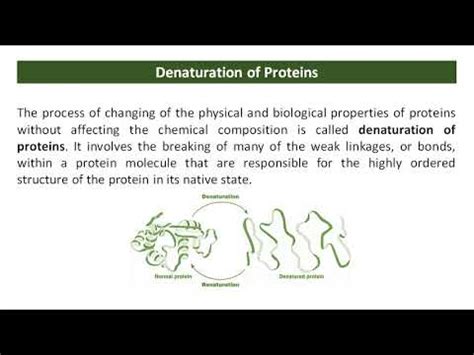 Denaturation of Proteins - YouTube