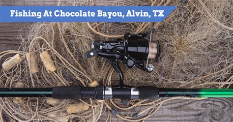 Guide To Fishing At Chocolate Bayou, Alvin, TX (Fish Types, Best Times)