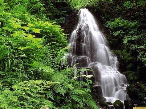 El Armario Prohibido: El más sentido alegato a favor de la Naturaleza