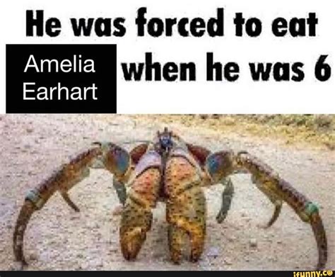 He was forced to eat when he was 6 Amelia Earhart I I - iFunny