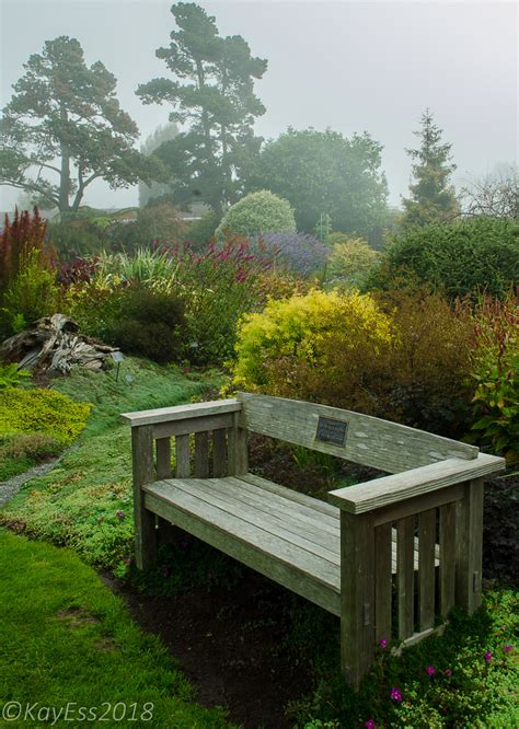 Garden Visit: Mendocino Coast Botanical Garden | Central Valley Builders