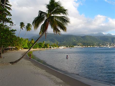 Purple Turtle Beach | a virtual Dominica