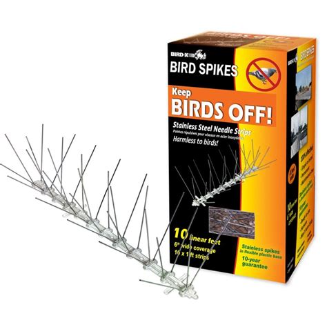 Bird-X Inc. Stainless Steel Bird Spikes 10 Foot Kit Guaranteed Bird Repellent Control #1 B ...