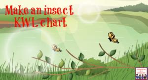 Insect KWL chart learn how to use a kwl chart in your school