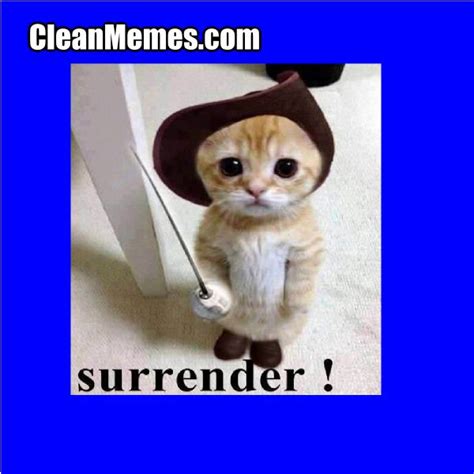 Funny Cat Memes Clean For Kids - Perpustakaan Sekolah