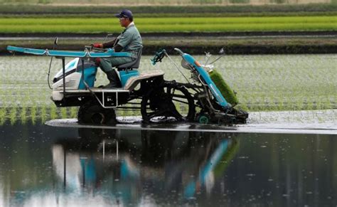 Tech-Savvy Farmers A New Hope For Japan's Shrinking Agriculture Sector