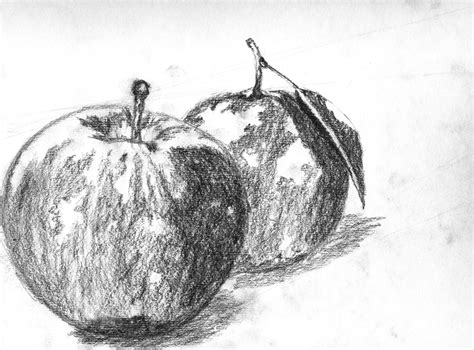 Observational Drawing: November 2012