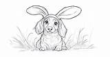 Dachshund Coloring Pages – 46 Free Printable Fun For Wiener Dog Lovers sketch template