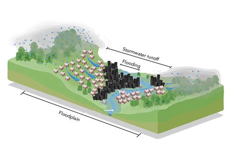 Nine Ways to Start Connecting Stormwater and Floodplain Management