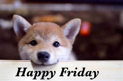 109 best images about Happy Friday on Pinterest