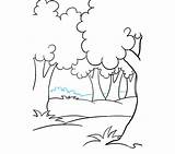 Rainforest Ecosystem Drawing Slide sketch template