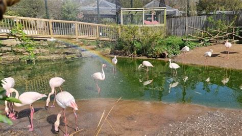 Bristol Zoo Gardens | ZOOSynergy