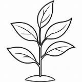 Seeding Plant Outline coloring Book Page Line Art Drawing  Premium AI sketch template