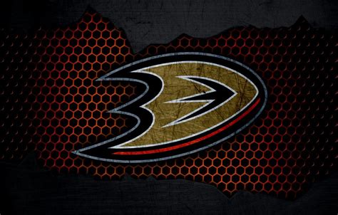 Anaheim Ducks Wallpapers - Top Free Anaheim Ducks Backgrounds ...