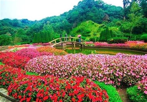 About Government Rose Garden Ooty | Karthi Travels