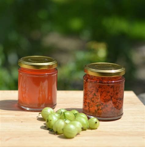 Gooseberry Jelly | Gooseberry jelly, Gooseberry recipes, Jelly recipes