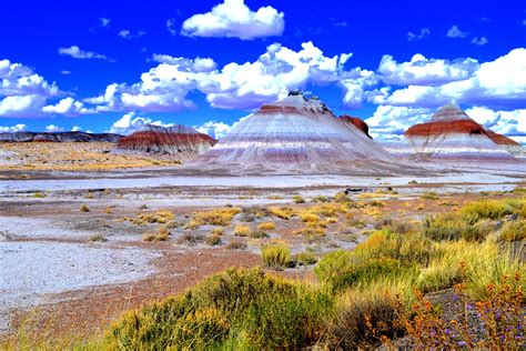 Painted Desert, Arizona by Rickymac | Desert painting, Natural landmarks, California coast