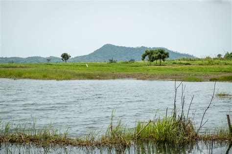 Illegal Logging on Lake Volta - The Hauns in Africa